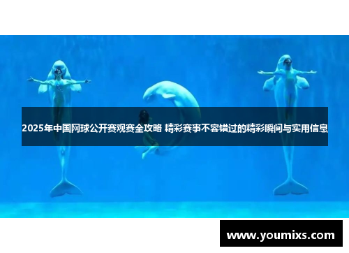 2025年中国网球公开赛观赛全攻略 精彩赛事不容错过的精彩瞬间与实用信息