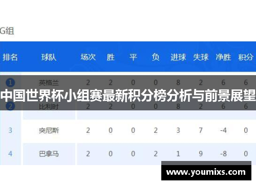 中国世界杯小组赛最新积分榜分析与前景展望