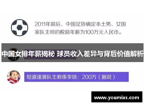 中国女排年薪揭秘 球员收入差异与背后价值解析