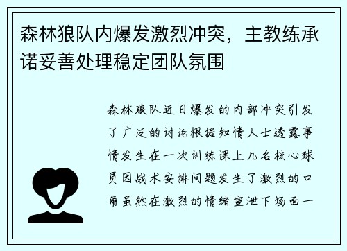 森林狼队内爆发激烈冲突，主教练承诺妥善处理稳定团队氛围