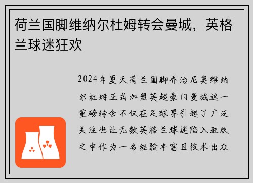 荷兰国脚维纳尔杜姆转会曼城，英格兰球迷狂欢